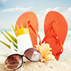 Profile image of Sunshineyorks Profile image of Sunshineyorks
