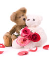 Valentine Teddies