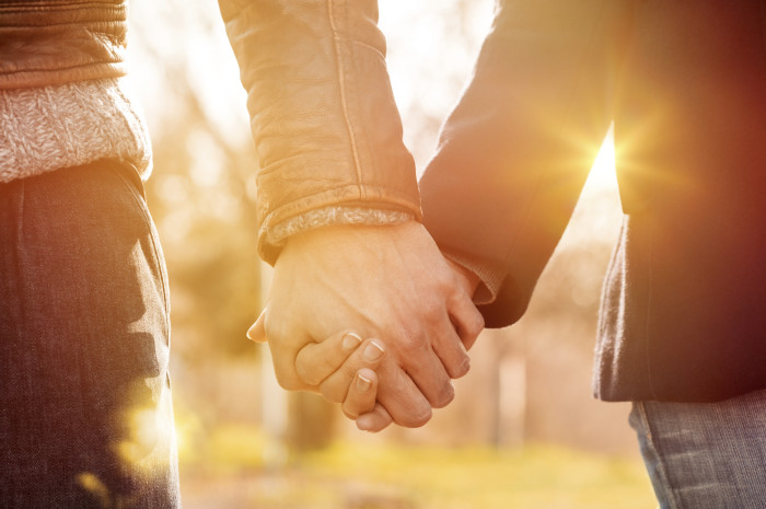 wq8efqrgkwt8sntdci72